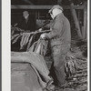 Stripping tobacco in Mr. Robert J. Hawthorne's tobacco barn near Hazardville, Connecticut.