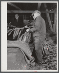Stripping tobacco in Mr. Robert J. Hawthorne's tobacco barn near Hazardville, Connecticut.