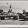 Truck drivers may stop and sleep at trucker's comfort station on New York Avenue and Bladensburg Road. U.S. Highway No. 1, Washington, D.C..