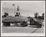 Truck drivers may stop and sleep at trucker's comfort station on New York Avenue and Bladensburg Road. U.S. Highway No. 1, Washington, D.C..