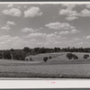 Farmland along U.S. Highway No. 1 near Savage, Maryland.