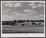 Farmland along U.S. Highway No. 1 near Savage, Maryland.