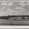 Farmland along U.S. Highway No. 1 near Savage, Maryland.