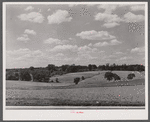 Farmland along U.S. Highway No. 1 near Savage, Maryland.