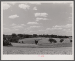 Farmland along U.S. Highway No. 1 near Savage, Maryland.