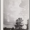 North Carolina landscape near Shiloh, North Carolina.