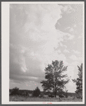North Carolina landscape near Shiloh, North Carolina.