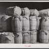 Sacks of potatoes waiting at the freight station for shipment to northern cities. Camden, North Carolina.