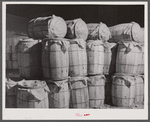 Sacks of potatoes waiting at the freight station for shipment to northern cities. Camden, North Carolina.
