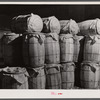 Sacks of potatoes waiting at the freight station for shipment to northern cities. Camden, North Carolina.