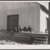 A group of new arrivals from Florida at the grading station at Camden, North Carolina.