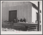A group of new arrivals from Florida at the grading station at Camden, North Carolina.