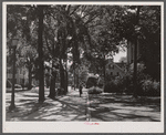 Main street in Elizabeth City, North Carolina.