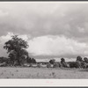 North Carolina landscape near Old Trap, North Carolina.