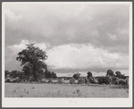 North Carolina landscape near Old Trap, North Carolina.