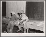 Migratory agricultural workers waiting to go on night shift at the grading station at Camden, North Carolina.