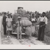 Group of Florida migrants on their way to Cranberry, New Jersey, to pick potatoes. Near Shawboro, North Carolina.