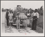 Group of Florida migrants on their way to Cranberry, New Jersey, to pick potatoes. Near Shawboro, North Carolina.