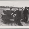 Group of Florida migrants preparing to leave Old Trap, North Carolina.