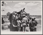 Florida migratory agricultural workers leaving Old Trap, North Carolina, for New Jersey. The truck holds thirty-seven persons.