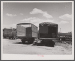 Empty trucks waiting at Elizabeth City, North Carolina, freight station to be loaded with potatoes for the northern cities.