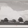 Freight cars at a grading station near Belcross, North Carolina.