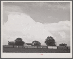 Freight cars at a grading station near Belcross, North Carolina.