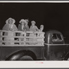 Group of migratory agricultural workers at the company store at Camden, North Carolina. They have just bought some provisions and are being taken out to their house in the fields.