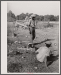 Migrants cooking lunch at the grading station at Camden, North Carolina.