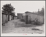 Camp of migratory agricultural workers during the apple picking season at Bridgeville, Delaware.