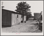 Barracks for migratory agricultural labor at Bridgeville, Deleware. The migrants were here for the apple picking season.