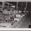 Wrapping tomatoes in the Kings Creek Packing Company. Kings Creek, Maryland. The wrappers are usually from Florida and are highly skilled and seem to be well paid.