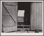 Housing for migratory agricultural workers at apple-producing farm near Bridgeville, Delaware.
