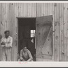 Migratory agricultural workers during the apple season at a camp near Bridgeville, Delaware.
