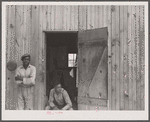 Migratory agricultural workers during the apple season at a camp near Bridgeville, Delaware.