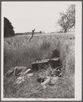Luggage of newly-arrived migratory workers near Onley, Virginia.