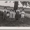 Children of Italian migratory workers who have come from Delaware to work in the onion fields near Cedarville, New Jersey.