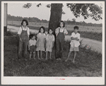 Children of Italian migratory workers who have come from Delaware to work in the onion fields near Cedarville, New Jersey.
