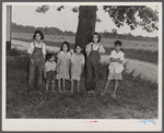 Children of Italian migratory workers who have come from Delaware to work in the onion fields near Cedarville, New Jersey.
