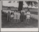 Children of Italian migratory workers who have come from Delaware to work in the onion fields near Cedarville, New Jersey.