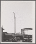 The Kings Creek Packing Company at Kings Creek, Maryland, employed migrants (both Negro and white).