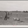 Migratory workers in an onion field near Accomac, Virginia.