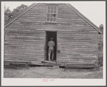 Housing for migratory agricultural workers near Accomac, Virginia.