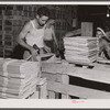 Florida migrants at Kings Creek Canning Company making boxes ("lugs") for packing tomatoes. Kings Creek, Maryland.