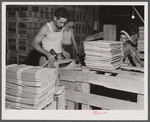 Florida migrants at Kings Creek Canning Company making boxes ("lugs") for packing tomatoes. Kings Creek, Maryland.