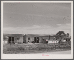 Shacks for migratory workers of the Phillips Packing Company in Vienna, Maryland.