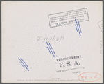 Shacks for migratory workers of the Phillips Packing Company in Vienna, Maryland.