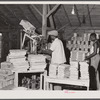 Florida migrants making boxes ("lugs") for packing tomatoes at the Kings Creek Packing Company. Kings Creek, Maryland.