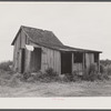 Eight migratory agricultural workers stay in this shack near Belcross, North Carolina.