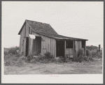 Eight migratory agricultural workers stay in this shack near Belcross, North Carolina.